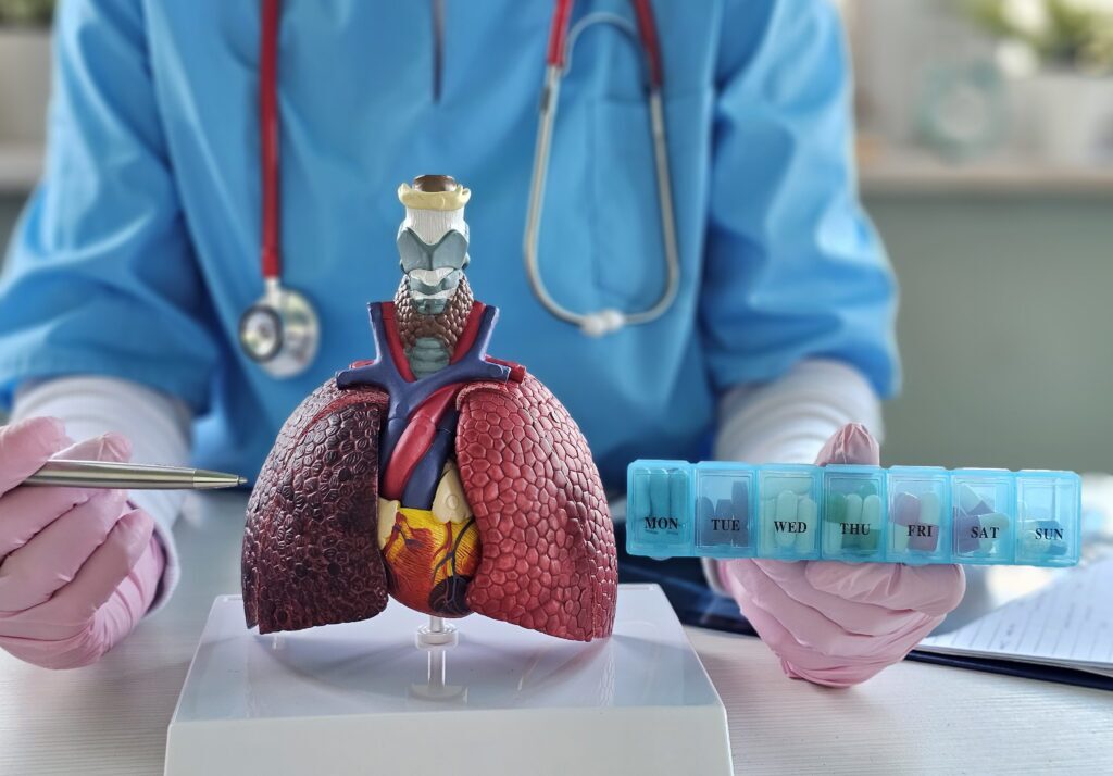 Doctor model of human lungs with drugs. Importance of respiratory health and treatment