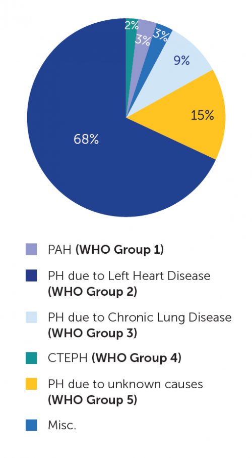 Types of Pulmonary Hypertension: The WHO Groups - Pulmonary ...